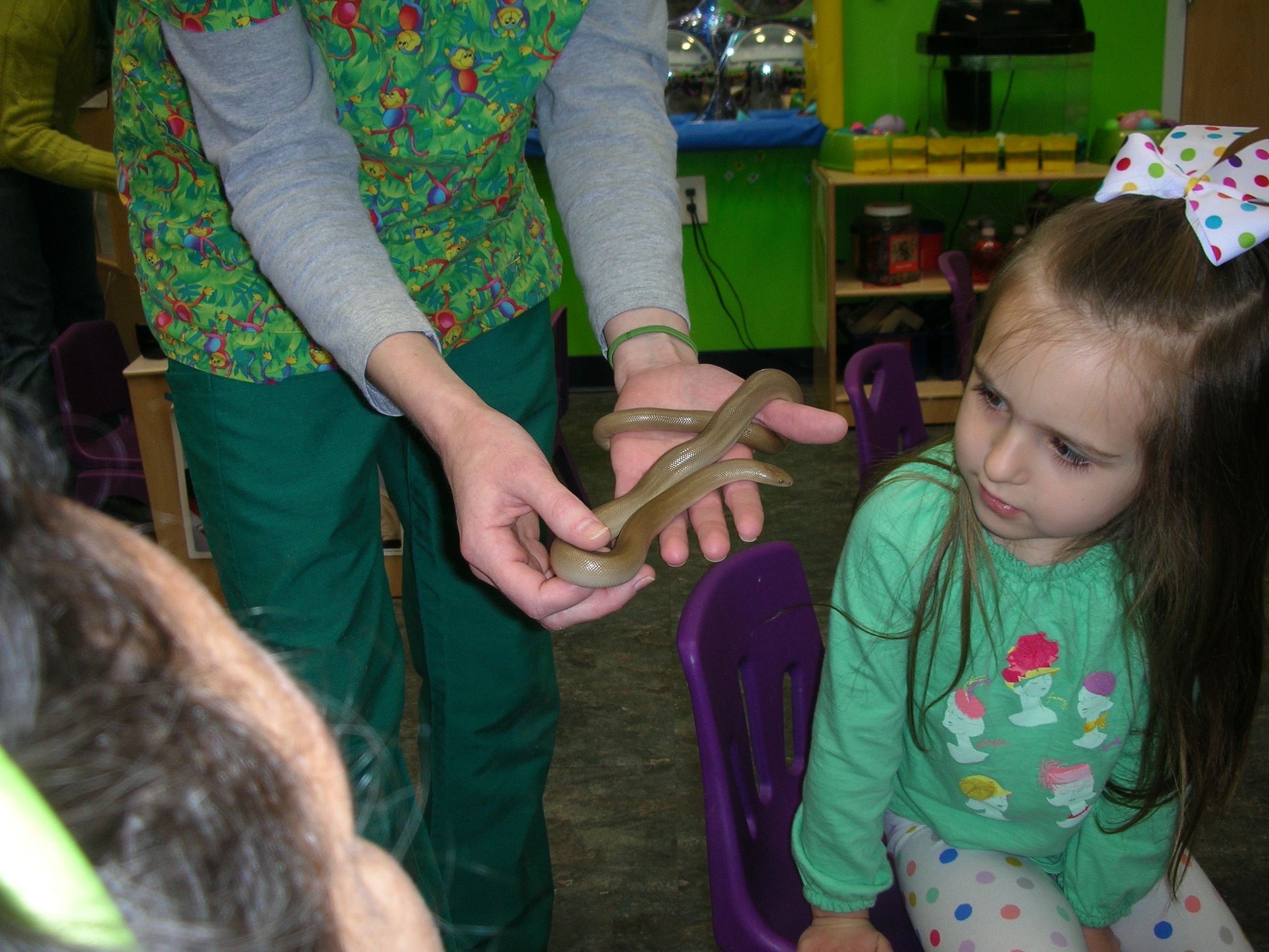 Girl learning about snakes at daycare science