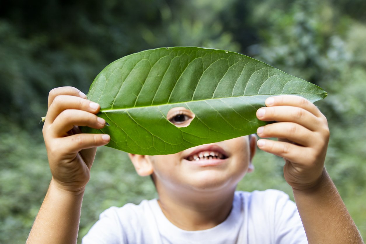 Preschool Leaf Happy