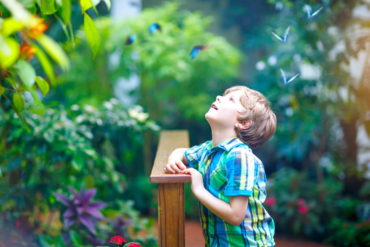 Preschool wonder Outside
