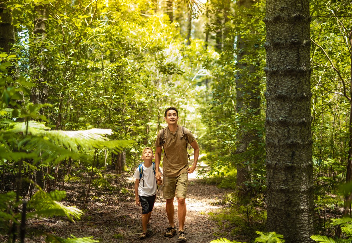SA NatureWalk Parent Forest