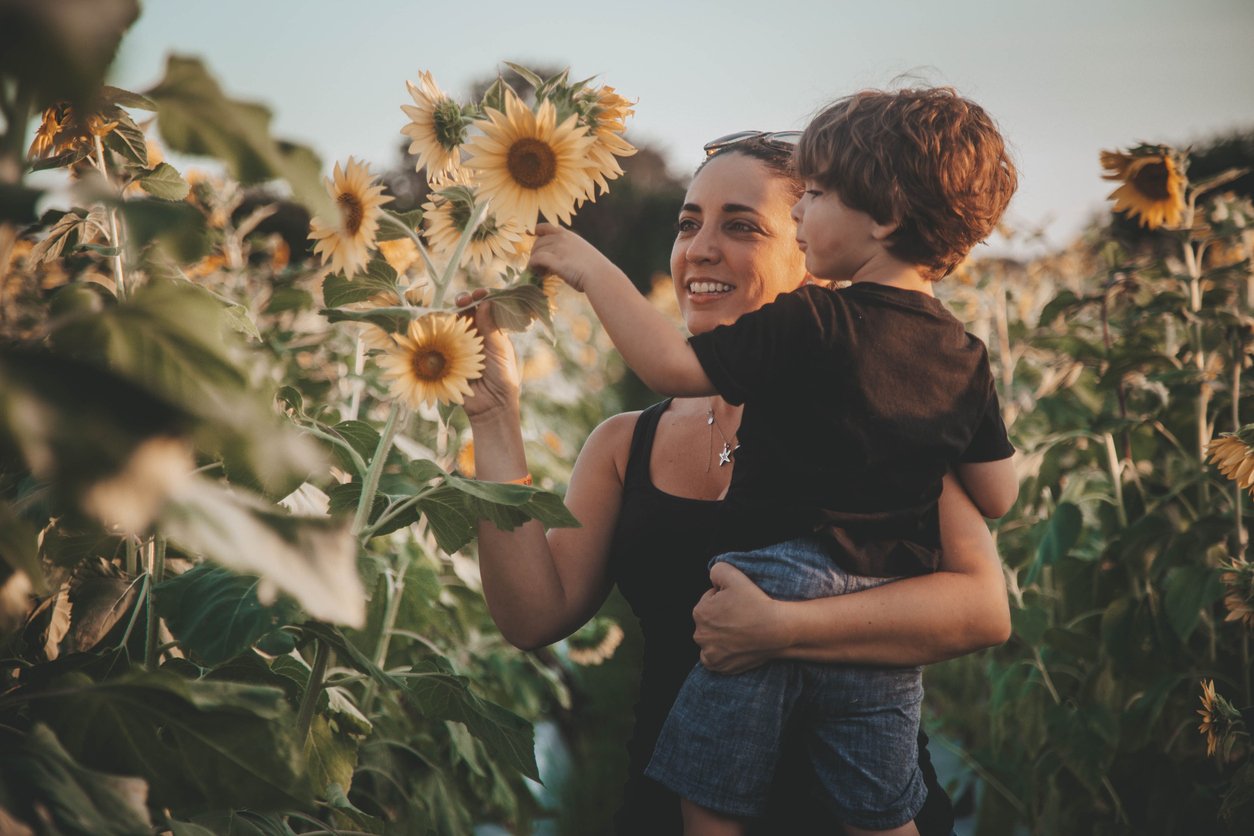 VPK Sunflowers Parent Curious
