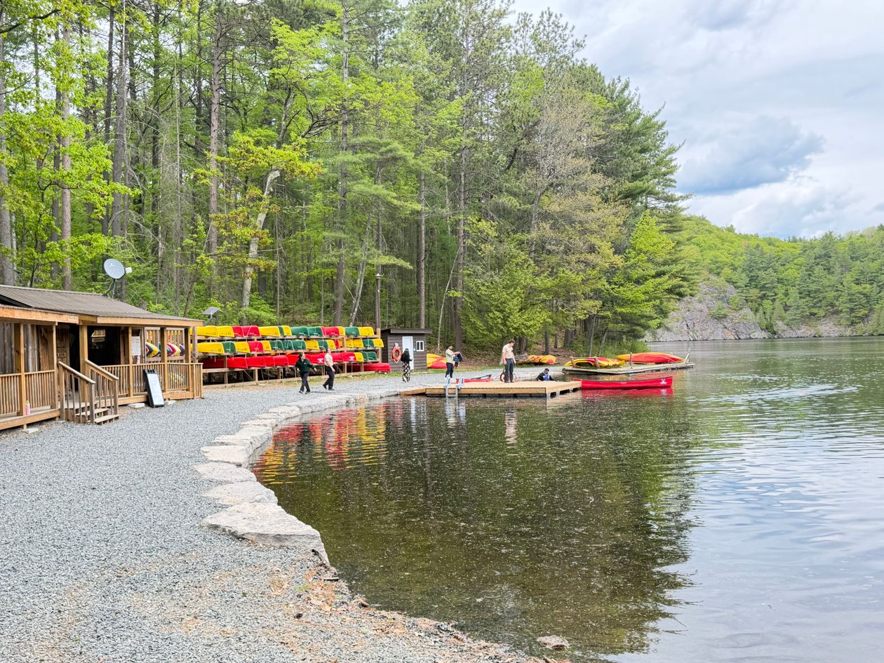Scenic canoe dock at serene lakeside forest