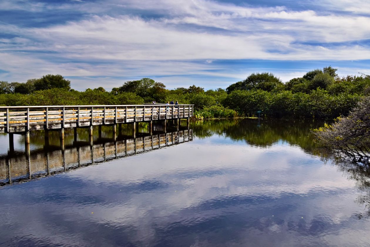 Scenic boardwalk over reflective water in Florida