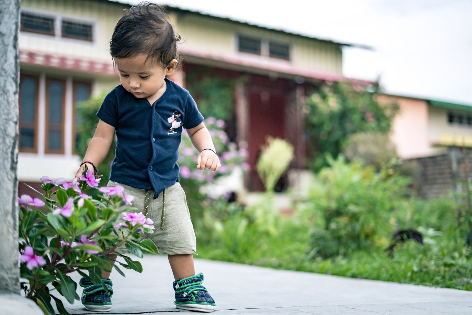 Toddler reaching for pink flowers along a garden path on a fall morning in Oviedo