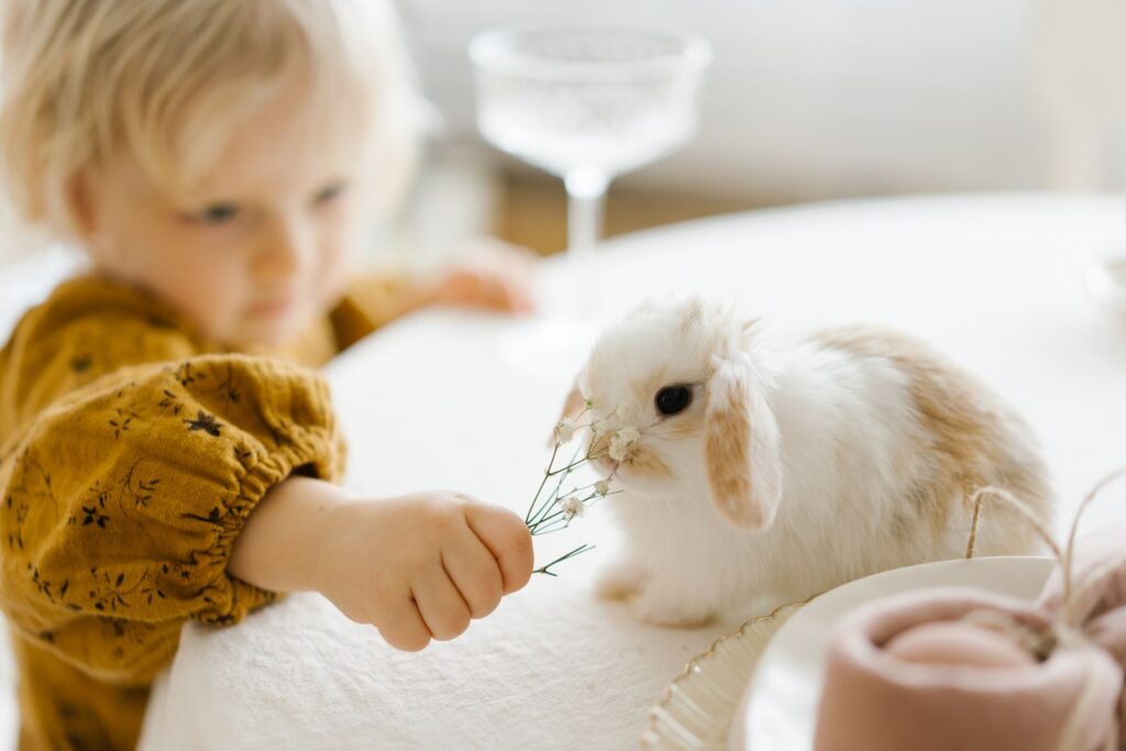 Toddler gently feeding greens to a pet bunny