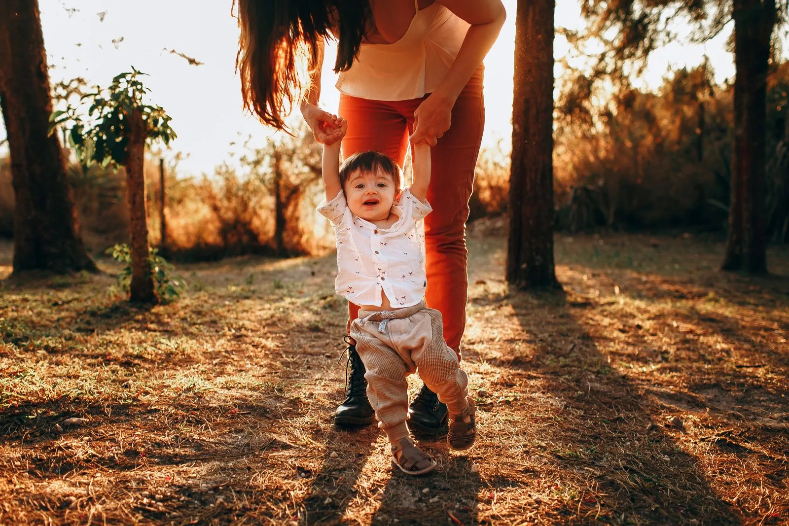 Toddler taking first wobbly steps on pine needles in warm evening sunlight, held up by a parent