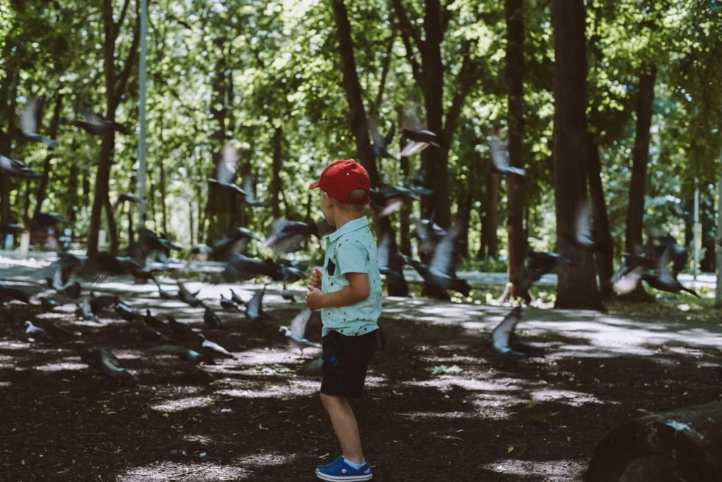 Little boy in a red cap standing in a shady woods as a flock of birds takes off around him
