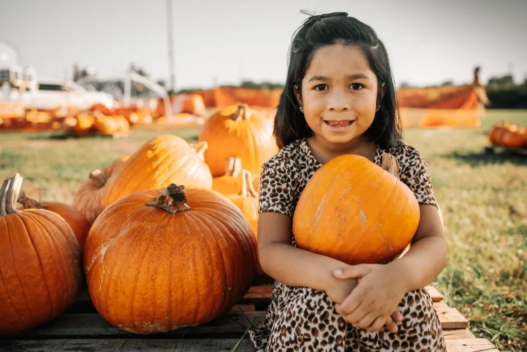 Preschool-age girl in a leopard-print dress holding a pumpkin on a wooden pallet, pumpkin field behind