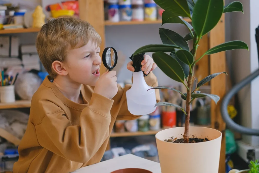 Preschool boy in a mustard sweater inspecting a houseplant through a magnifying glass