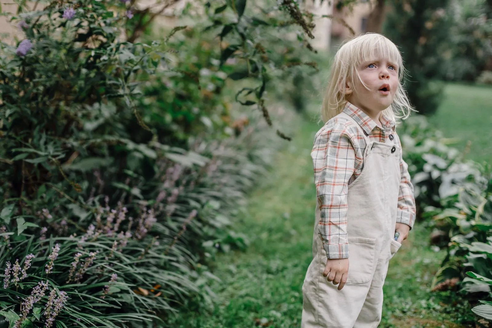 Curious preschooler in overalls standing in a garden, looking up with his mouth open in wonder