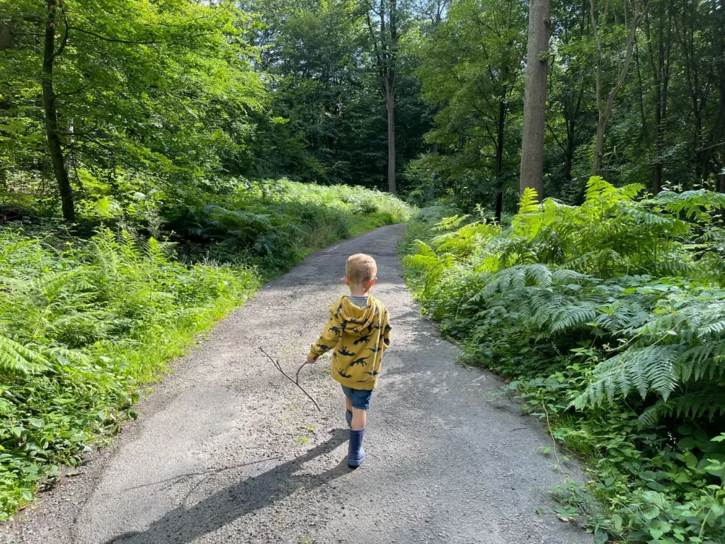 Toddler in a yellow jacket walking down a wide nature trail lined with ferns and trees